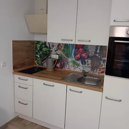 Grosses Haus ゲストハウス